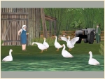 Gänse