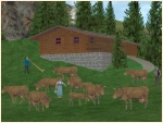Schweizer Alm Set