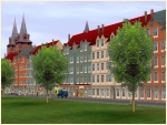 Junge Stadtb�ume