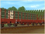 DRG Rungenwagen nach Vorkriegsbauart