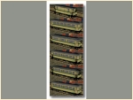 OEG-Wagen Set Spurweite 1000 mm