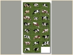 Nutztiere
