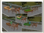 Fuhrwerke und Gespanne Set 1