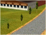 Stadtbaum 2