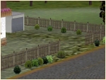 PS1_Buschset1
