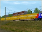 Containertragwagen Lgnss der SBB, Epoche V