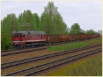 Sparset 4-achsige offene G�terwagen europ�ischer Bahnen