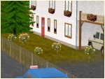 Stammgew�chse