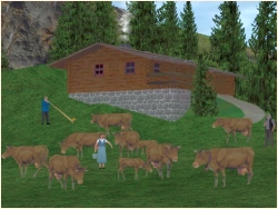  Schweizer Alm Set im EEP-Shop kaufen