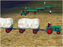  Landwirtschaftliches Ger�t Set 1 im EEP-Shop kaufen
