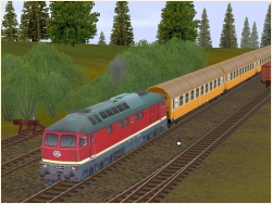  Diesellokomotiven DR BR 132 und 142 im EEP-Shop kaufen