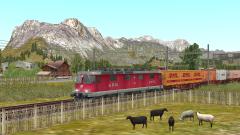 EEP TSM Gotthardbahn Nordrampe Modu im EEP-Shop kaufen Bild 6
