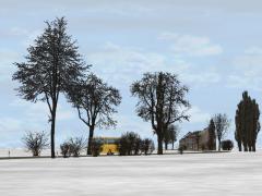  Winterb�ume und -b�sche im EEP-Shop kaufen