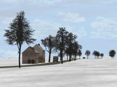 Winterb�ume und -b�sche im EEP-Shop kaufen Bild 6