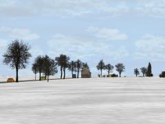 Winterb�ume und -b�sche im EEP-Shop kaufen Bild 6