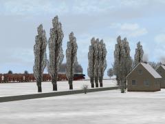 Winterb�ume und -b�sche im EEP-Shop kaufen Bild 6