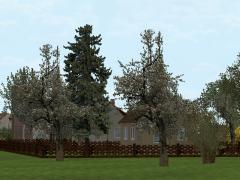 Fr�hlingsb�ume und -b�sche im EEP-Shop kaufen Bild 6