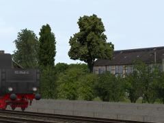  Sommerb�ume und -b�sche im EEP-Shop kaufen
