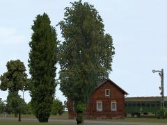  Sommerb�ume und -b�sche im EEP-Shop kaufen