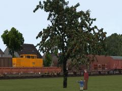 Sommerb�ume und -b�sche im EEP-Shop kaufen Bild 6