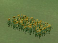  Gemischte Vegetation im EEP-Shop kaufen