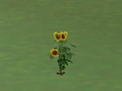 Gemischte Vegetation im EEP-Shop kaufen Bild 6