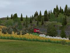 Gemischte Vegetation im EEP-Shop kaufen Bild 6