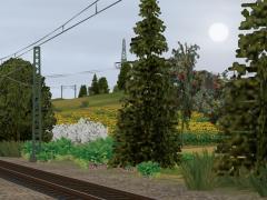 Gemischte Vegetation im EEP-Shop kaufen Bild 6