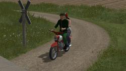 Simson Star im EEP-Shop kaufen Bild 6