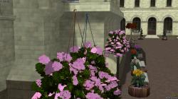  Blumendeko 01 Dahlien und Geranien im EEP-Shop kaufen