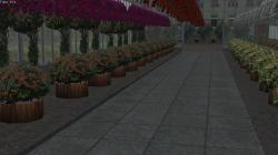  Blumendeko 02 Petunien, Kletterrose im EEP-Shop kaufen