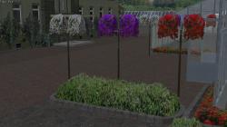  Blumendeko 02 Petunien, Kletterrose im EEP-Shop kaufen
