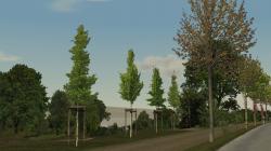 Jungb�ume im Fr�hling und Baumschut im EEP-Shop kaufen Bild 6