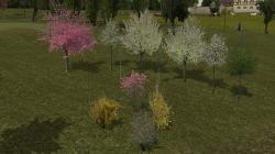 Jungb�ume im Fr�hling und Baumschut im EEP-Shop kaufen Bild 6