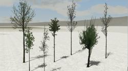 Jungb�ume im Fr�hling und Baumschut im EEP-Shop kaufen Bild 12