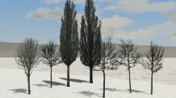 Jungb�ume im Fr�hling und Baumschut im EEP-Shop kaufen Bild 13