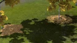 Herbstlaub im EEP-Shop kaufen Bild 6