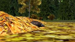 Herbstlaub im EEP-Shop kaufen Bild 6