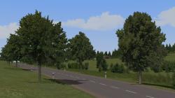  Kirschb�ume und Linden (mittelgro�) im EEP-Shop kaufen