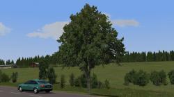  Kirschb�ume und Linden (mittelgro�) im EEP-Shop kaufen