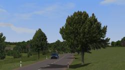  Kirschb�ume und Linden (mittelgro�) im EEP-Shop kaufen