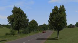  Kirschb�ume und Linden (mittelgro�) im EEP-Shop kaufen