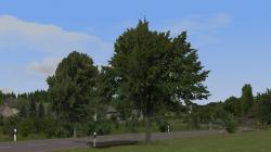 Kirschb�ume und Linden (mittelgro�) im EEP-Shop kaufen Bild 6