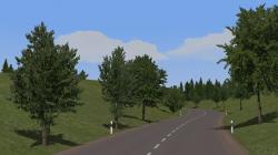 Kirschb�ume und Linden (mittelgro�) im EEP-Shop kaufen Bild 6