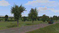 Kirschb�ume und Linden (mittelgro�) im EEP-Shop kaufen Bild 6