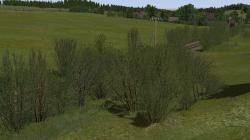  Gleisvegetation im EEP-Shop kaufen