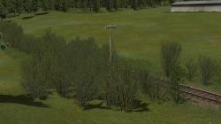 Gleisvegetation im EEP-Shop kaufen Bild 6