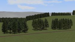 Nadelb�ume (einzeln, Gruppen, Reihe im EEP-Shop kaufen Bild 6