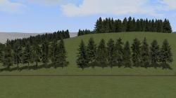 Nadelb�ume (einzeln, Gruppen, Reihe im EEP-Shop kaufen Bild 6