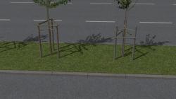  Jung- und Parkplatzb�ume im EEP-Shop kaufen